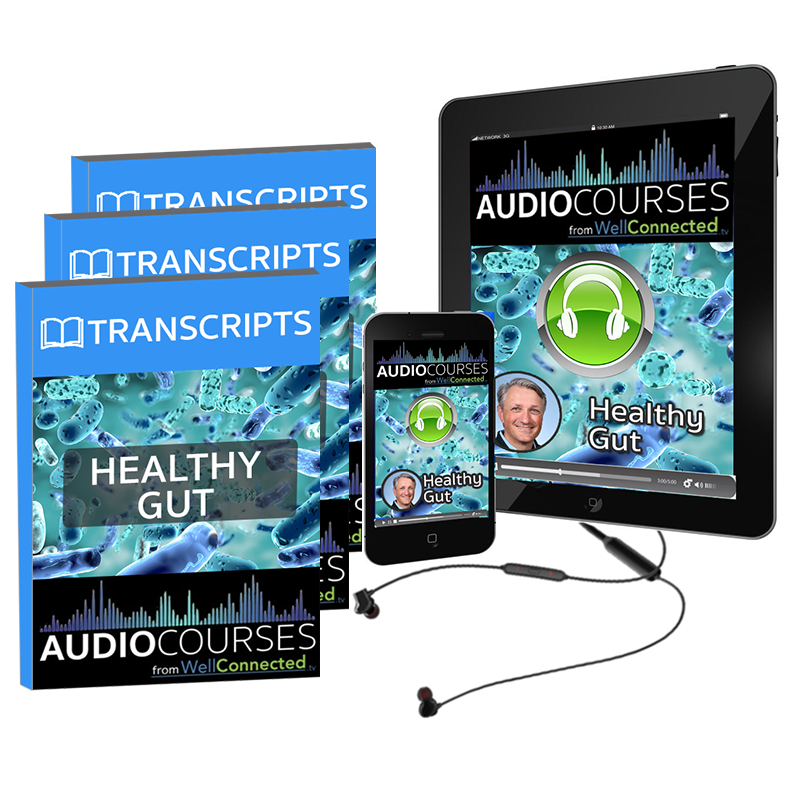 Healthy Gut AudioCourse
